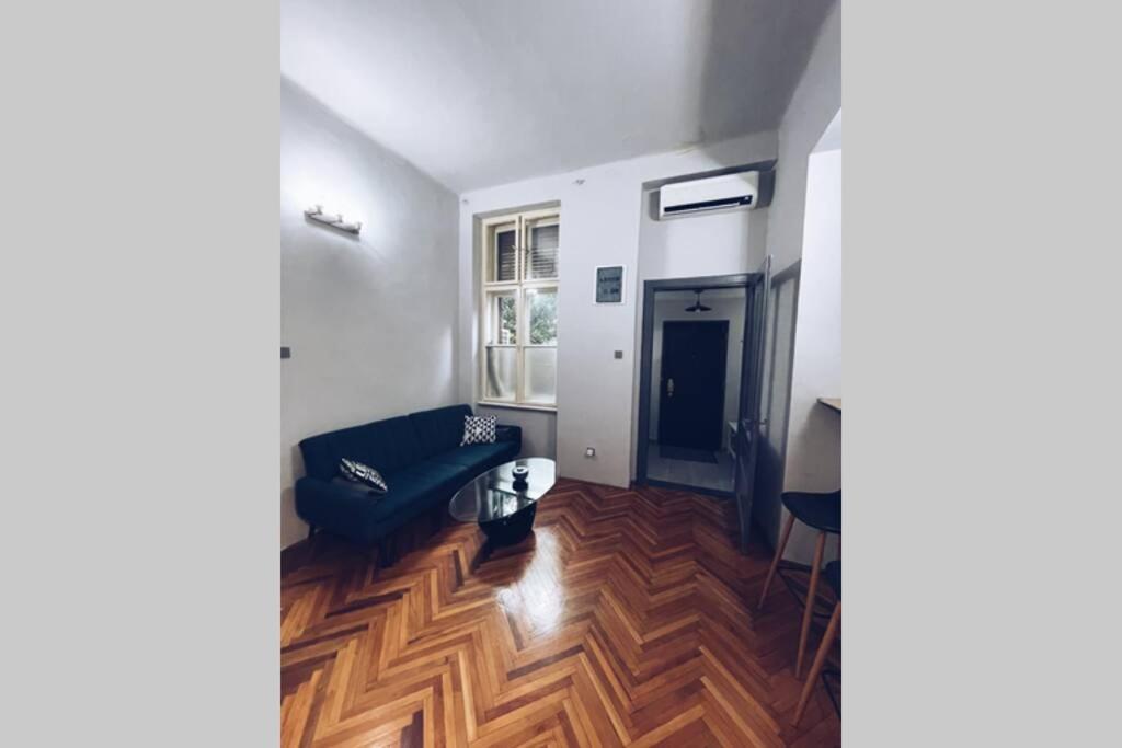 ☆Modern High Ceiling Apartment - Heart Of The City Oradea Εξωτερικό φωτογραφία