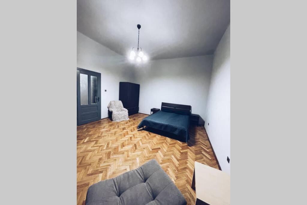 ☆Modern High Ceiling Apartment - Heart Of The City Oradea Εξωτερικό φωτογραφία